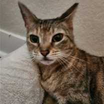 Thumbnail photo of Kiki - Center #1