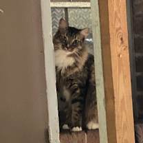 Thumbnail photo of Bishop #1