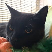 Thumbnail photo of Jack #4