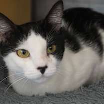 Thumbnail photo of Mabel #1