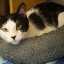 Thumbnail photo of Mabel #2