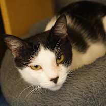 Thumbnail photo of Mabel #3