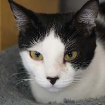 Thumbnail photo of Mabel #4