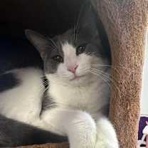Thumbnail photo of Andrew #1