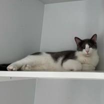 Thumbnail photo of Andrew #3