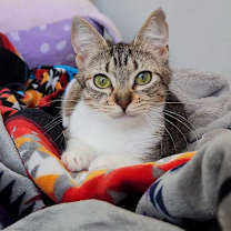 Thumbnail photo of ROSITA BUSTILLOS #4