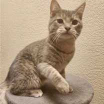 Thumbnail photo of Pip #2