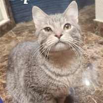 Thumbnail photo of Pip #3