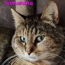 Thumbnail photo of Samantha #1