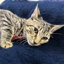 Thumbnail photo of PARKER #2