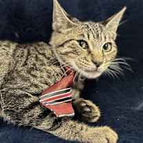 Thumbnail photo of PARKER #3