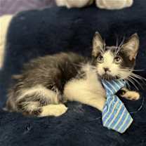 Thumbnail photo of ELIAS #2