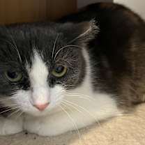 Thumbnail photo of Mimi #1
