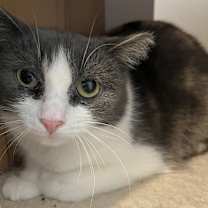 Thumbnail photo of Mimi #2