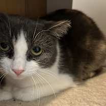 Thumbnail photo of Mimi #3