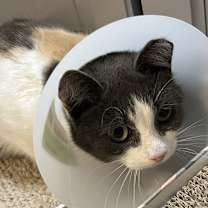 Thumbnail photo of Mimi #4