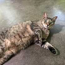 Thumbnail photo of Gina 2 #1