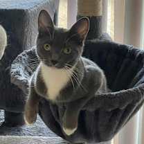 Thumbnail photo of ELOISE #3