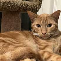 Thumbnail photo of Jester and Jasper #2