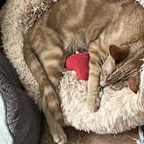 Thumbnail photo of Jester and Jasper #4