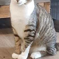 Thumbnail photo of Les #1