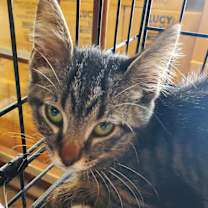Thumbnail photo of Freddy #1