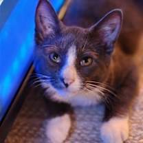 Thumbnail photo of Finn #4