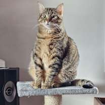 Thumbnail photo of Juni #1