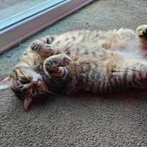 Thumbnail photo of Juni #3