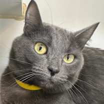 Thumbnail photo of STORMY #1