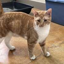 Thumbnail photo of Gabriel #4