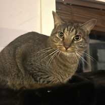 Thumbnail photo of Fergus S. #1