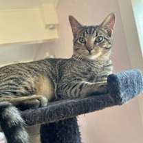 Thumbnail photo of Fergus S. #2