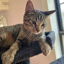 Thumbnail photo of Fergus S. #3