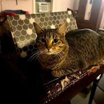 Thumbnail photo of Tabitha S #1