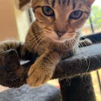 Thumbnail photo of Tabitha S #3