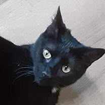 Thumbnail photo of Lisa #1