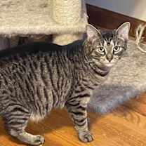 Thumbnail photo of Alex #2