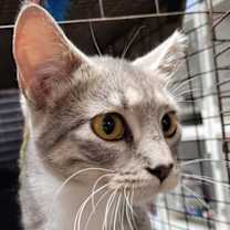 Thumbnail photo of Boots #1