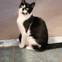 Thumbnail photo of Spicy #3