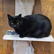 Thumbnail photo of Karen #1