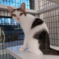 Thumbnail photo of Taylor Swift #1