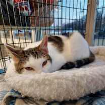 Thumbnail photo of Taylor Swift #2