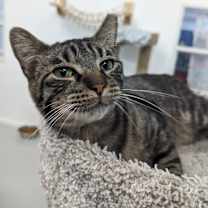 Thumbnail photo of Ezra #3