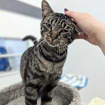 Thumbnail photo of Ezra #4