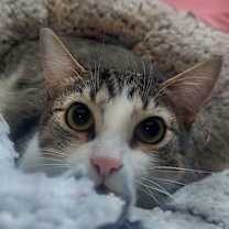 Thumbnail photo of JUAN CARLOS #2