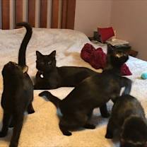 Thumbnail photo of Mae Mae #4