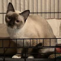 Thumbnail photo of Alpine22 #3