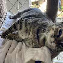 Thumbnail photo of Eliza #4