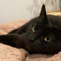 Thumbnail photo of Clover #2